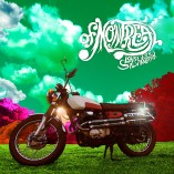 #albumoftheday OF MONTREAL: LOUSY WITH SYLVIANBRIAR