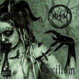 WHEN BLACK METAL CAME TO LOVE IS POP: AN INTERVIEW WITH NOCTEM