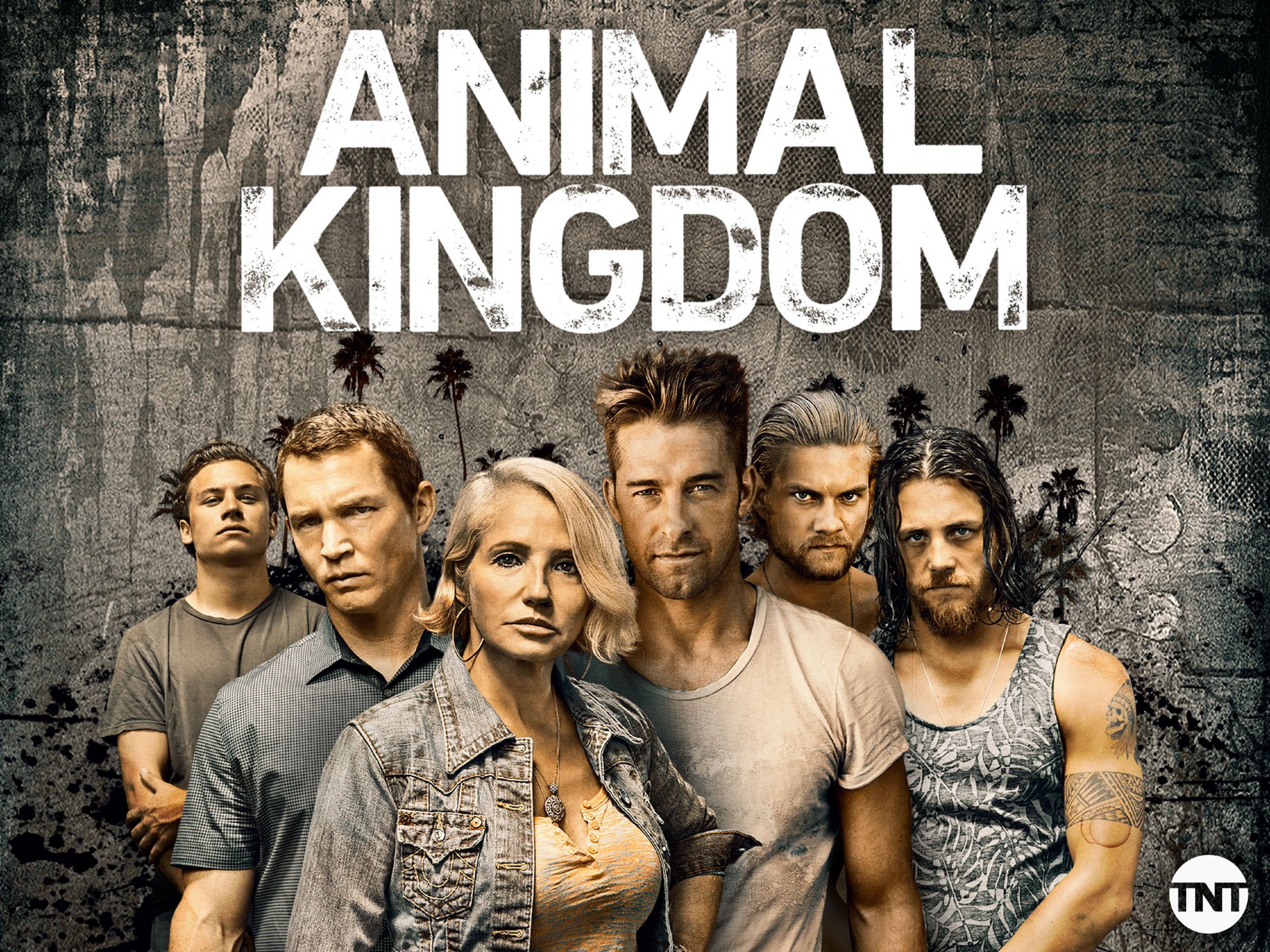 SERIES REVIEW: ANIMAL KINGDOM